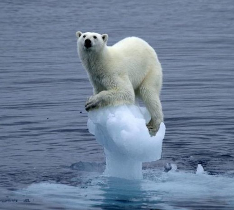 Climat: Le changement climatique n’épargne plus rien
