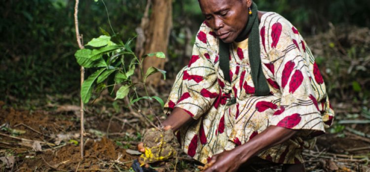 AFRIQUE : le Forum mondial sur les paysages au Kenya