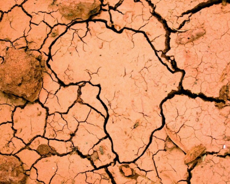 Le Sommet du changement climatique – Afrique