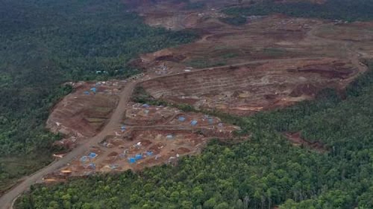 La Papouasie-Nouvelle-Guinée lève l’interdiction sur les crédits carbone forestiers